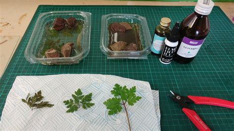 Place samples in a vial with alcohol to preserve. . How to preserve cedar branches with glycerin